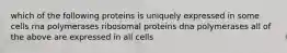 which of the following proteins is uniquely expressed in some cells rna polymerases ribosomal proteins dna polymerases all of the above are expressed in all cells