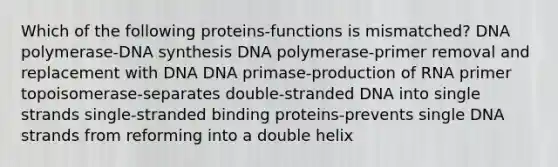 Which of the following proteins-functions is mismatched? DNA polymerase-DNA synthesis DNA polymerase-primer removal and replacement with DNA DNA primase-production of RNA primer topoisomerase-separates double-stranded DNA into single strands single-stranded binding proteins-prevents single DNA strands from reforming into a double helix