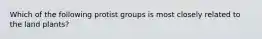 Which of the following protist groups is most closely related to the land plants?