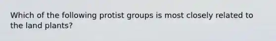 Which of the following protist groups is most closely related to the land plants?