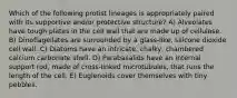 Which of the following protist lineages is appropriately paired with its supportive and/or protective structure? A) Alveolates have tough plates in the cell wall that are made up of cellulose. B) Dinoflagellates are surrounded by a glass-like, silicone dioxide cell wall. C) Diatoms have an intricate, chalky, chambered calcium carbonate shell. D) Parabasalids have an internal support rod, made of cross-linked microtubules, that runs the length of the cell. E) Euglenoids cover themselves with tiny pebbles.