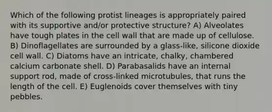 Which of the following protist lineages is appropriately paired with its supportive and/or protective structure? A) Alveolates have tough plates in the cell wall that are made up of cellulose. B) Dinoflagellates are surrounded by a glass-like, silicone dioxide cell wall. C) Diatoms have an intricate, chalky, chambered calcium carbonate shell. D) Parabasalids have an internal support rod, made of cross-linked microtubules, that runs the length of the cell. E) Euglenoids cover themselves with tiny pebbles.