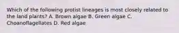 Which of the following protist lineages is most closely related to the land plants? A. Brown algae B. Green algae C. Choanoflagellates D. Red algae