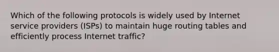 Which of the following protocols is widely used by Internet service providers (ISPs) to maintain huge routing tables and efficiently process Internet traffic?