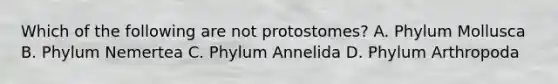 Which of the following are not protostomes? A. Phylum Mollusca B. Phylum Nemertea C. Phylum Annelida D. Phylum Arthropoda