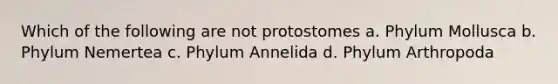 Which of the following are not protostomes a. Phylum Mollusca b. Phylum Nemertea c. Phylum Annelida d. Phylum Arthropoda