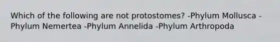 Which of the following are not protostomes? -Phylum Mollusca -Phylum Nemertea -Phylum Annelida -Phylum Arthropoda