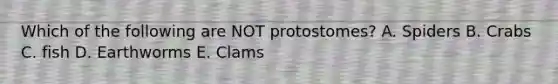 Which of the following are NOT protostomes? A. Spiders B. Crabs C. fish D. Earthworms E. Clams