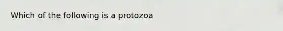 Which of the following is a protozoa