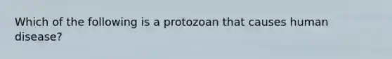 Which of the following is a protozoan that causes human disease?