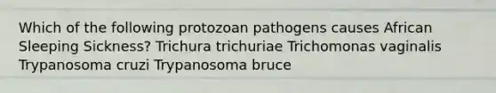 Which of the following protozoan pathogens causes African Sleeping Sickness? Trichura trichuriae Trichomonas vaginalis Trypanosoma cruzi Trypanosoma bruce