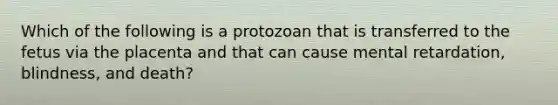 Which of the following is a protozoan that is transferred to the fetus via the placenta and that can cause mental retardation, blindness, and death?