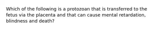 Which of the following is a protozoan that is transferred to the fetus via the placenta and that can cause mental retardation, blindness and death?