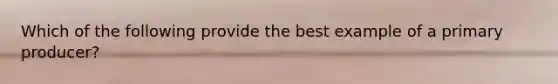 Which of the following provide the best example of a primary producer?