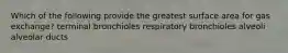 Which of the following provide the greatest surface area for gas exchange? terminal bronchioles respiratory bronchioles alveoli alveolar ducts
