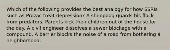 Which of the following provides the best analogy for how SSRIs such as Prozac treat depression? A sheepdog guards his flock from predators. Parents kick their children out of the house for the day. A civil engineer dissolves a sewer blockage with a compound. A barrier blocks the noise of a road from bothering a neighborhood.