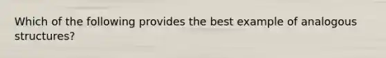 Which of the following provides the best example of analogous structures?