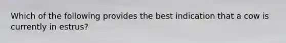 Which of the following provides the best indication that a cow is currently in estrus?