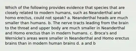 Which of the following provides evidence that species that are closely related to modern humans, such as Neanderthal and homo erectus, could not speak? a. Neanderthal heads are much smaller than humans. b. The nerve tracts leading from the brain to the throat and upper body are much smaller in Neanderthal and Homo erectus than in modern humans. c. Broca's and Wernicke's areas were smaller in Neanderthal and Homo erectus brains than in modern human brains d. a and b