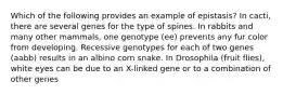 Which of the following provides an example of epistasis? In cacti, there are several genes for the type of spines. In rabbits and many other mammals, one genotype (ee) prevents any fur color from developing. Recessive genotypes for each of two genes (aabb) results in an albino corn snake. In Drosophila (fruit flies), white eyes can be due to an X-linked gene or to a combination of other genes