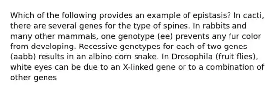 Which of the following provides an example of epistasis? In cacti, there are several genes for the type of spines. In rabbits and many other mammals, one genotype (ee) prevents any fur color from developing. Recessive genotypes for each of two genes (aabb) results in an albino corn snake. In Drosophila (fruit flies), white eyes can be due to an X-linked gene or to a combination of other genes