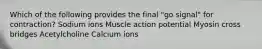 Which of the following provides the final "go signal" for contraction? Sodium ions Muscle action potential Myosin cross bridges Acetylcholine Calcium ions