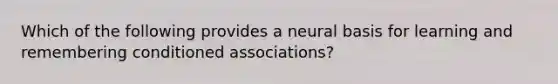 Which of the following provides a neural basis for learning and remembering conditioned associations?