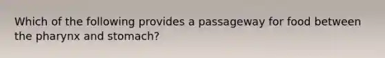 Which of the following provides a passageway for food between <a href='https://www.questionai.com/knowledge/ktW97n6hGJ-the-pharynx' class='anchor-knowledge'>the pharynx</a> and stomach?
