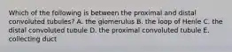 Which of the following is between the proximal and distal convoluted tubules? A. the glomerulus B. the loop of Henle C. the distal convoluted tubule D. the proximal convoluted tubule E. collecting duct