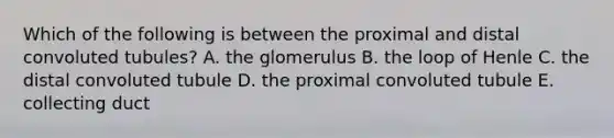 Which of the following is between the proximal and distal convoluted tubules? A. the glomerulus B. the loop of Henle C. the distal convoluted tubule D. the proximal convoluted tubule E. collecting duct