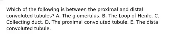 Which of the following is between the proximal and distal convoluted tubules? A. The glomerulus. B. The Loop of Henle. C. Collecting duct. D. The proximal convoluted tubule. E. The distal convoluted tubule.