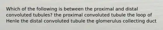 Which of the following is between the proximal and distal convoluted tubules? the proximal convoluted tubule the loop of Henle the distal convoluted tubule the glomerulus collecting duct