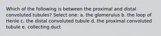 Which of the following is between the proximal and distal convoluted tubules? Select one: a. the glomerulus b. the loop of Henle c. the distal convoluted tubule d. the proximal convoluted tubule e. collecting duct