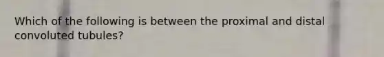 Which of the following is between the proximal and distal convoluted tubules?