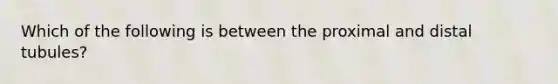 Which of the following is between the proximal and distal tubules?