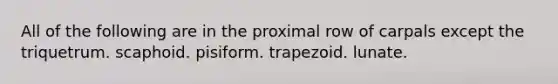 All of the following are in the proximal row of carpals except the triquetrum. scaphoid. pisiform. trapezoid. lunate.