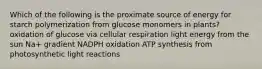 Which of the following is the proximate source of energy for starch polymerization from glucose monomers in plants? oxidation of glucose via cellular respiration light energy from the sun Na+ gradient NADPH oxidation ATP synthesis from photosynthetic light reactions