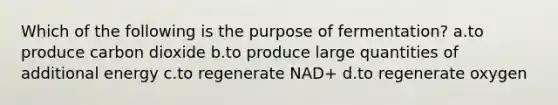 Which of the following is the purpose of fermentation? a.to produce carbon dioxide b.to produce large quantities of additional energy c.to regenerate NAD+ d.to regenerate oxygen