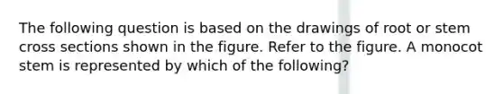 The following question is based on the drawings of root or stem cross sections shown in the figure. Refer to the figure. A monocot stem is represented by which of the following?