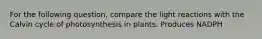 For the following question, compare the light reactions with the Calvin cycle of photosynthesis in plants. Produces NADPH