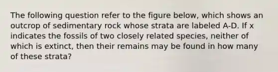 The following question refer to the figure below, which shows an outcrop of sedimentary rock whose strata are labeled A-D. If x indicates the fossils of two closely related species, neither of which is extinct, then their remains may be found in how many of these strata?