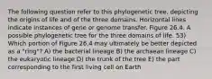 The following question refer to this phylogenetic tree, depicting the origins of life and of the three domains. Horizontal lines indicate instances of gene or genome transfer. Figure 26.4. A possible phylogenetic tree for the three domains of life. 53) Which portion of Figure 26.4 may ultimately be better depicted as a "ring"? A) the bacterial lineage B) the archaean lineage C) the eukaryotic lineage D) the trunk of the tree E) the part corresponding to the first living cell on Earth