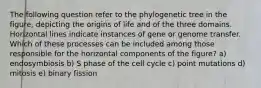 The following question refer to the phylogenetic tree in the figure, depicting the origins of life and of the three domains. Horizontal lines indicate instances of gene or genome transfer. Which of these processes can be included among those responsible for the horizontal components of the figure? a) endosymbiosis b) S phase of the cell cycle c) point mutations d) mitosis e) binary fission