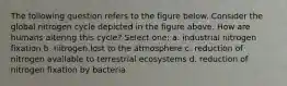 The following question refers to the figure below. Consider the global nitrogen cycle depicted in the figure above. How are humans altering this cycle? Select one: a. industrial nitrogen fixation b. nitrogen lost to the atmosphere c. reduction of nitrogen available to terrestrial ecosystems d. reduction of nitrogen fixation by bacteria