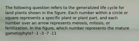 The following question refers to the generalized life cycle for land plants shown in the figure. Each number within a circle or square represents a specific plant or plant part, and each number over an arrow represents meiosis, mitosis, or fertilization. In the figure, which number represents the mature gametophyte? -1 -3 -7 -11