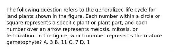 The following question refers to the generalized life cycle for land plants shown in the figure. Each number within a circle or square represents a specific plant or plant part, and each number over an arrow represents meiosis, mitosis, or fertilization. In the figure, which number represents the mature gametophyte? A. 3 B. 11 C. 7 D. 1