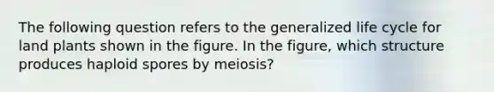 The following question refers to the generalized life cycle for land plants shown in the figure. In the figure, which structure produces haploid spores by meiosis?