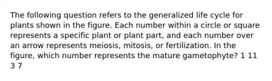 The following question refers to the generalized life cycle for plants shown in the figure. Each number within a circle or square represents a specific plant or plant part, and each number over an arrow represents meiosis, mitosis, or fertilization. In the figure, which number represents the mature gametophyte? 1 11 3 7