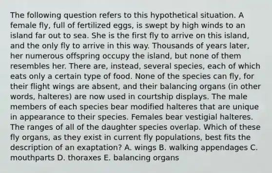 The following question refers to this hypothetical situation. A female fly, full of fertilized eggs, is swept by high winds to an island far out to sea. She is the first fly to arrive on this island, and the only fly to arrive in this way. Thousands of years later, her numerous offspring occupy the island, but none of them resembles her. There are, instead, several species, each of which eats only a certain type of food. None of the species can fly, for their flight wings are absent, and their balancing organs (in other words, halteres) are now used in courtship displays. The male members of each species bear modified halteres that are unique in appearance to their species. Females bear vestigial halteres. The ranges of all of the daughter species overlap. Which of these fly organs, as they exist in current fly populations, best fits the description of an exaptation? A. wings B. walking appendages C. mouthparts D. thoraxes E. balancing organs