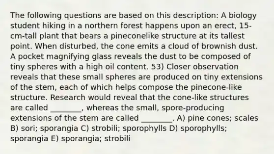 The following questions are based on this description: A biology student hiking in a northern forest happens upon an erect, 15-cm-tall plant that bears a pineconelike structure at its tallest point. When disturbed, the cone emits a cloud of brownish dust. A pocket magnifying glass reveals the dust to be composed of tiny spheres with a high oil content. 53) Closer observation reveals that these small spheres are produced on tiny extensions of the stem, each of which helps compose the pinecone-like structure. Research would reveal that the cone-like structures are called ________, whereas the small, spore-producing extensions of the stem are called ________. A) pine cones; scales B) sori; sporangia C) strobili; sporophylls D) sporophylls; sporangia E) sporangia; strobili